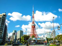 TYO1-12516 معرض 3