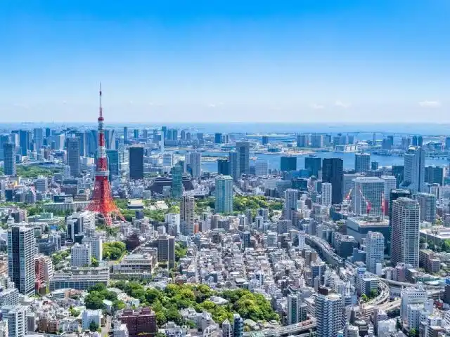 TYO1-12517 galería 2