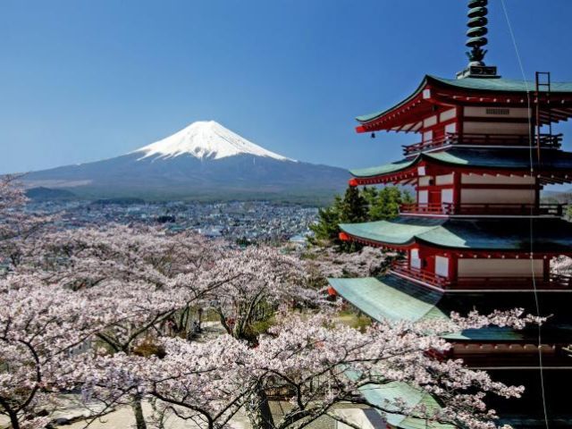 Tokyo: Mount Fuji Area Arakurayama Sengen Park, Oshino Hakkai, Kawaguchi Lake 1 Day Tour