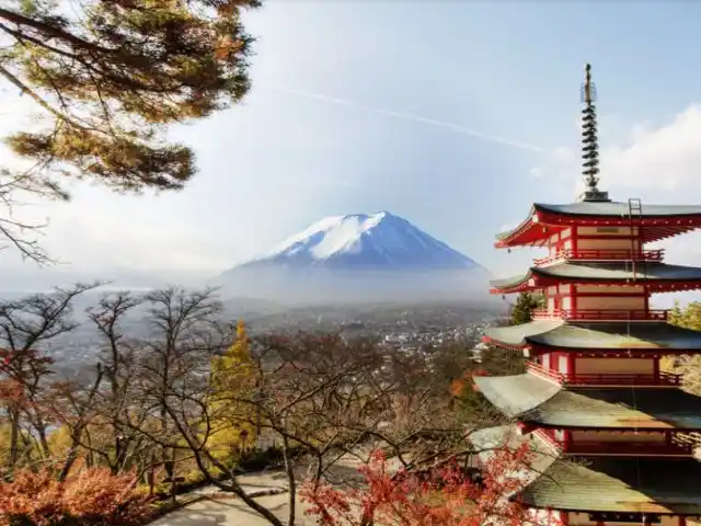 TYO1-12417 Galerie 2