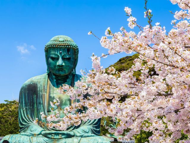 TYO1-12419 Galerie 2