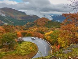 TYO1-12420 paisagens 2