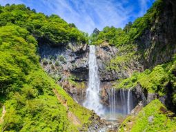 TYO1-12420 paisagens 4