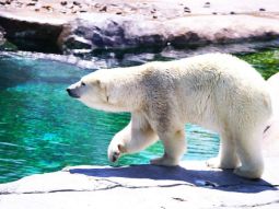 SPK-T-12425 Szenen 1