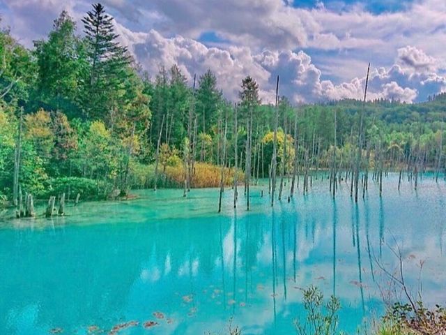 SPK1-12423 Galerie 3