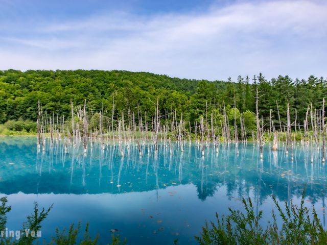 SPK1-12431 galería 2