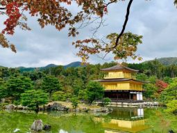 Galeria OSA1-12426 2