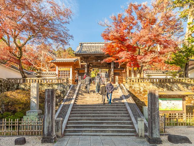 TYO-T-12427 Szenen 1