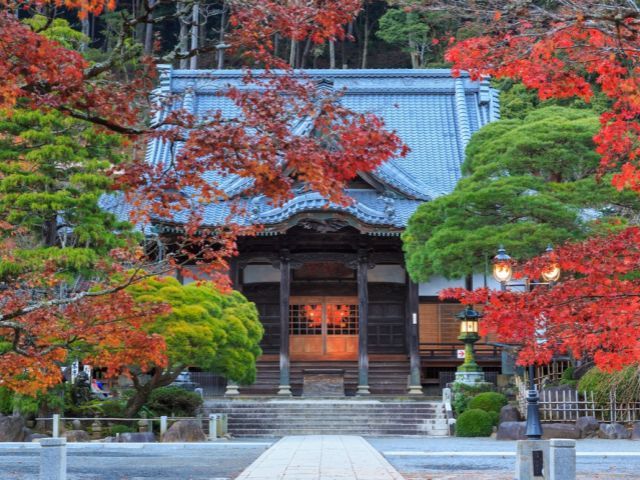 TYO-T-12427 Galerie 2