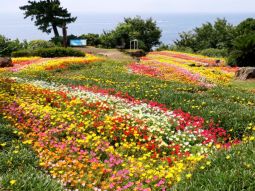 TYO-T-12427 Galerie 3