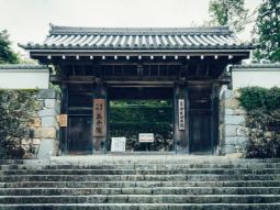 OSA1-T-12428 paisagens 1