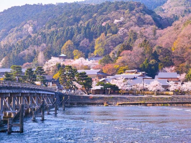 Galeria OSA1-T-12428 3