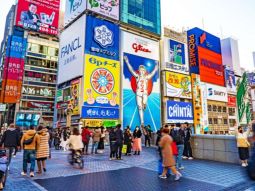 OSA1-T-12428 paisagens 4