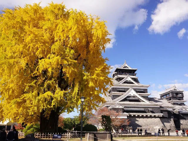 Kumamoto Castel, Mount Aso and Kusasenrigahama Tour from Fukuoka