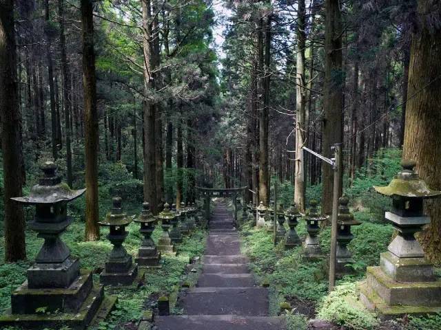 Kumanozu Shrine Takachiho Gorge and Amano Iwato Tour from Fukuoka