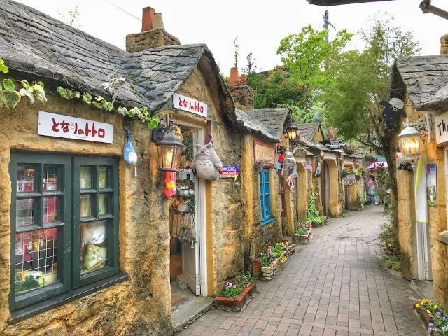 Galeria FUK1-12536 2