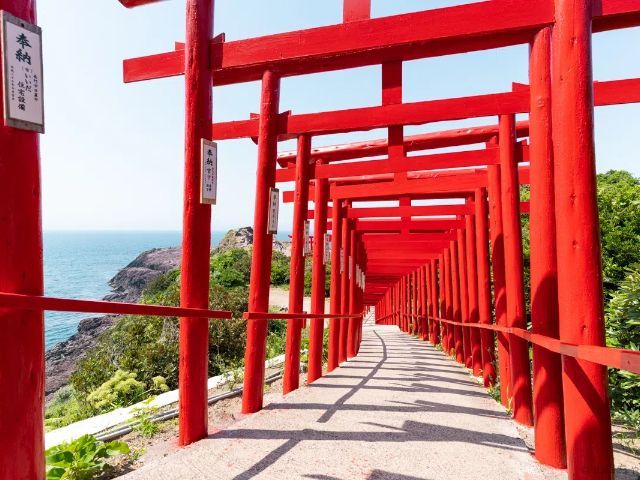 FUK1-12537 ギャラリー 2