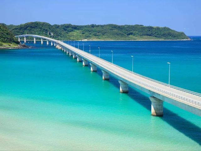 FUK1-12537 ギャラリー 4