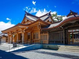 FUK1-12542 ギャラリー 4