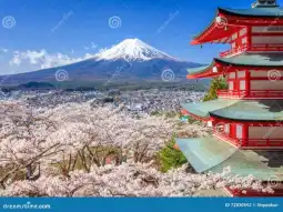 TYO1-12516 المناظر الطبيعية 6