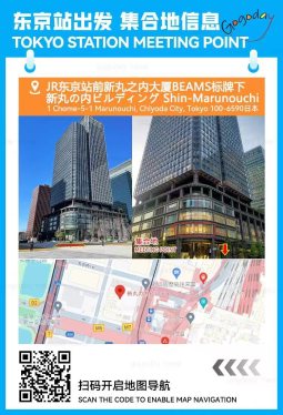 TOKYO STATION MEETING POINTTokyo 100-6590日本